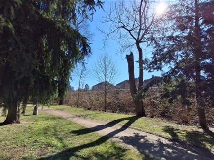 V parku Na Sadech v Písku arboristé ošetřují stromy