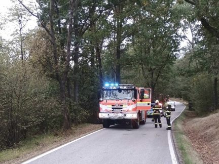 Tragická nehoda na Budějovicku: Auto narazilo do stromu a začalo hořet, řidič nepřežil