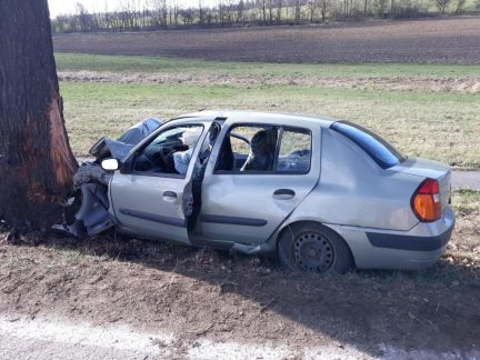 Blog Zdeňka Lanze: Stromy k silnicím už dávno nepatří!