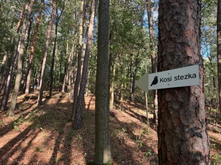 Ve Čkyni se otevřela Kosí stezka. Děti i dospělé provede světem místního ptactva