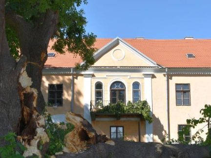 Zámek v Měšicích chce koupit podnikatel Tomáš Matyš. Město Tábor se má vyjádřit, zda uplatní předkupní právo