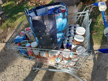 Z obchodu ve Vodňanech odvezli bez placení vozík se zbožím za tisíce. Policie ho našla v živém plotě