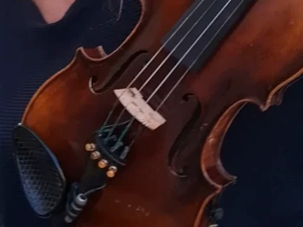 Žena zapomněla v budějovické MHD housle. Někdo si je přisvojil
