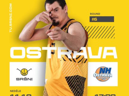Sršni chtějí zpět na vítěznou vlnu! Do Písku míří Ostrava