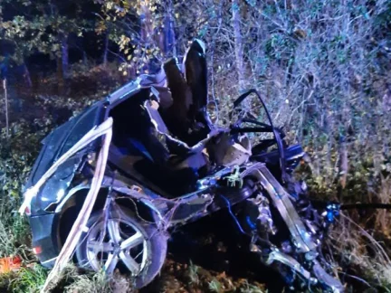 Řidič mezi Číměří a Novou Bystřicí rozpůlil auto o strom. Náraz nepřežil