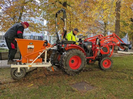Centrum Písku příští jaro ozdobí tisíce květů cibulovin