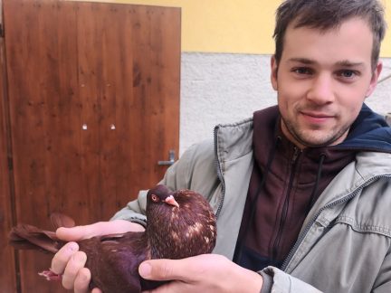 Na  výstavě chovatelů v Horní Stropnici panovala skvělá atmosféra